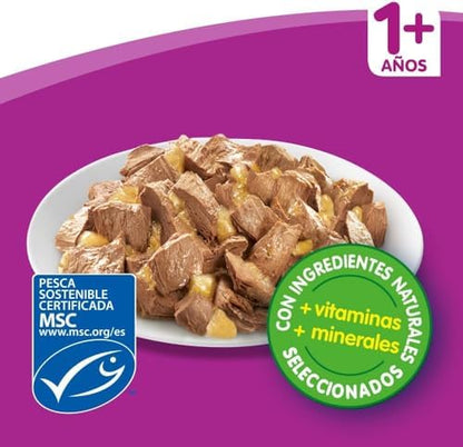 Mars ESPAÑA Bags for Cats from 1 Year Old, Fish Selection [Pack of 13]