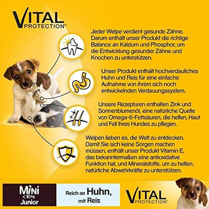 Pedigree Junior Mini (6 Packs of Dog Food with Chicken and Rice 1.4kg)