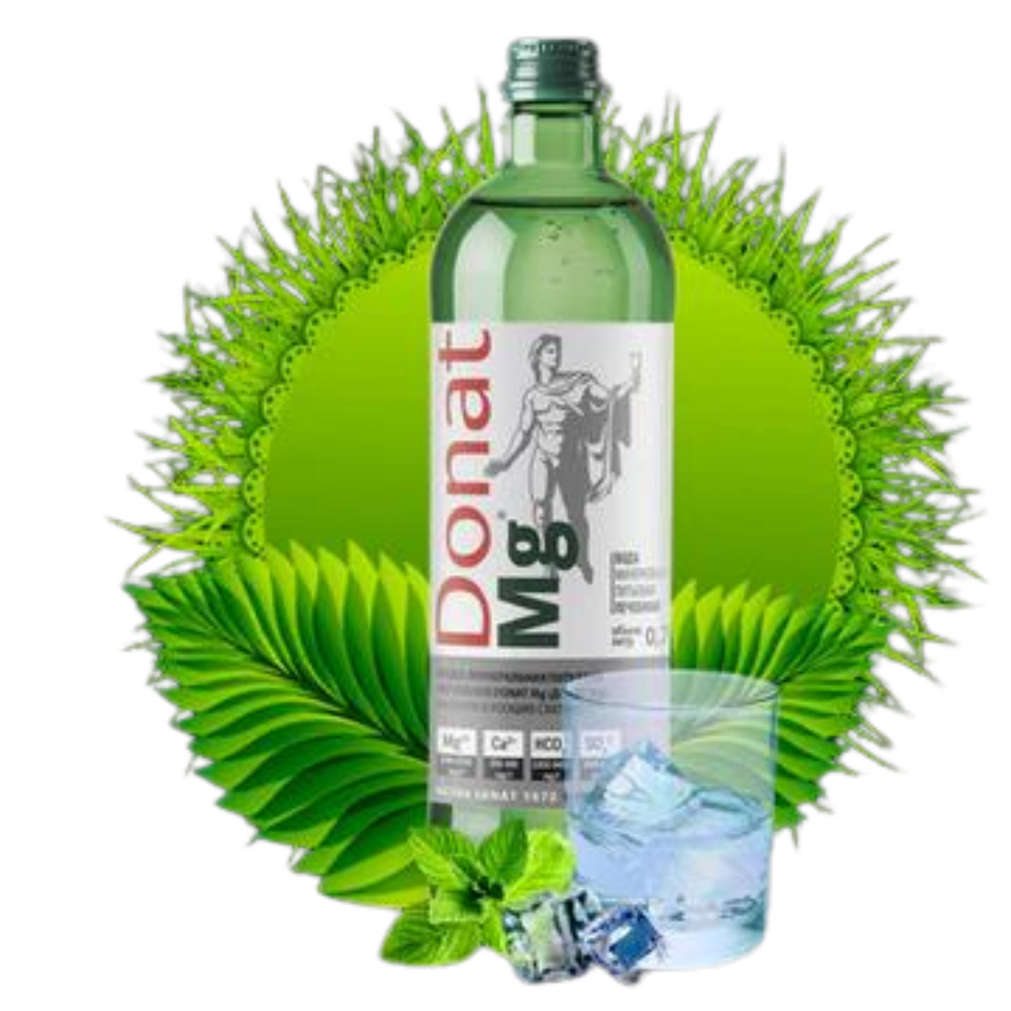 Natural Magnesium Water - 1000mg Magnesium in 1000ml ''Donat Mg'' Bulk Pack 6x1L